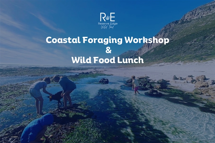 Coastal Foraging Experience and Wild Food Paired Lunch